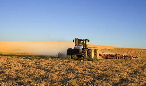 La cuantía para la contratación de seguros agrarios en Andalucía alcanza los 16,6 millones de euros.