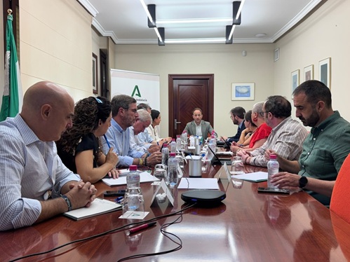 Erik Domínguez afirma que la legislatura será “clave para terminar de impulsar los proyectos estratégicos de Jaén”.