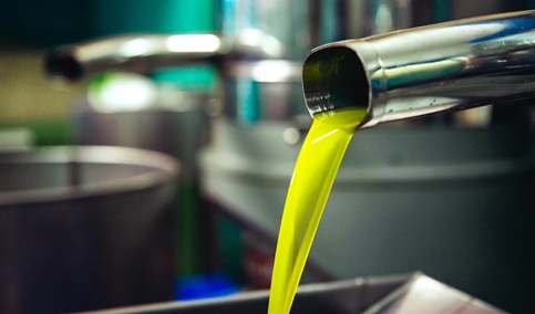 COAG Jaén exige frenar la especulación en el aceite de oliva.