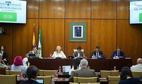 La Junta anuncia una rebaja de impuestos para ayudar en la compra de vivienda a los andaluces.