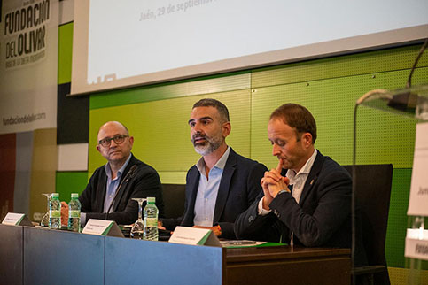 El aforo del olivar estima para la campaña 2026/27 una producción de 1.261.200 toneladas de aceite de oliva en Andalucía.