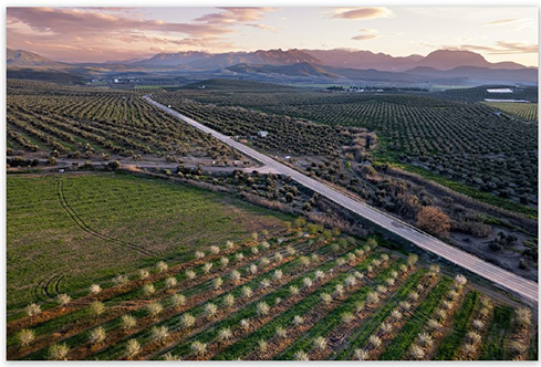 El IEG de la Diputación concede el IV Premio de Fotografía ‘El Paisaje Giennense’ a la ubetense Katy Gómez.