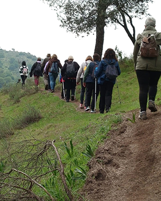 AMECO llevará a cabo el proyecto «Guardianes del Refugio del Lince Ibérico» tras ser seleccionada por el Proyecto LIBERA.